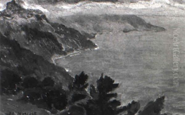 Coastal Landscape - view 1