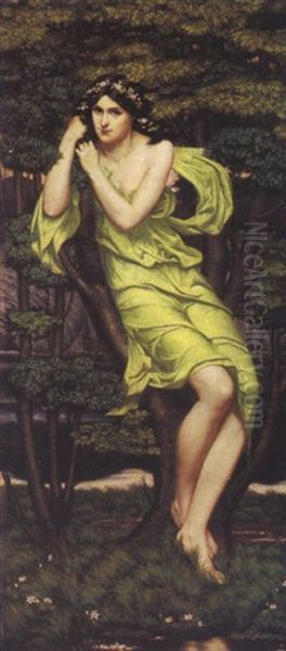The Wood Nymph - view 1