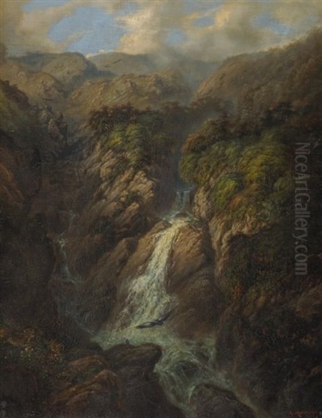 Urwaldlandschaft Mit Wasserfall - view 1