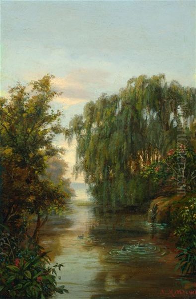 Flusslandschaft Mit Exotischen Pflanzen Im Urwald - view 1