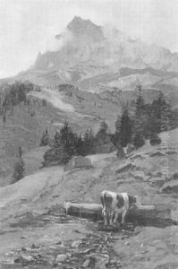 Cime D'oche