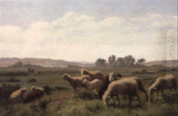 Weidende Schafe - view 1