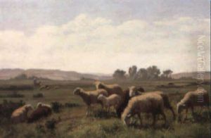 Weidende Schafe by Edouard-Louis-Auguste Metton