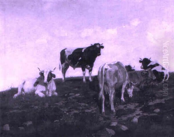 Kuhe Und Stier An Einem Berghang - view 1