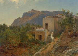 Sommerliche Landschaft Auf Capri Mit Kleinem Bauernhaus