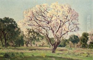An Almond Tree In Blossom by Aureliano de Beruete y Moret