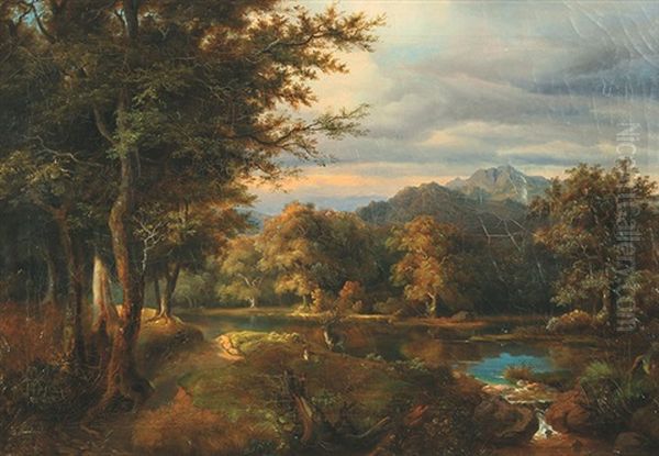 Hirsche An Einem Waldteich - view 1