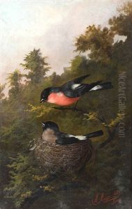 Uccellini Nel Nido by Michelangelo Meucci
