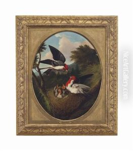 Red Crested Birds With Youth by Michelangelo Meucci