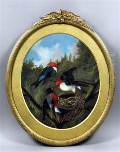 Studies Of Exotic Birds by Michelangelo Meucci