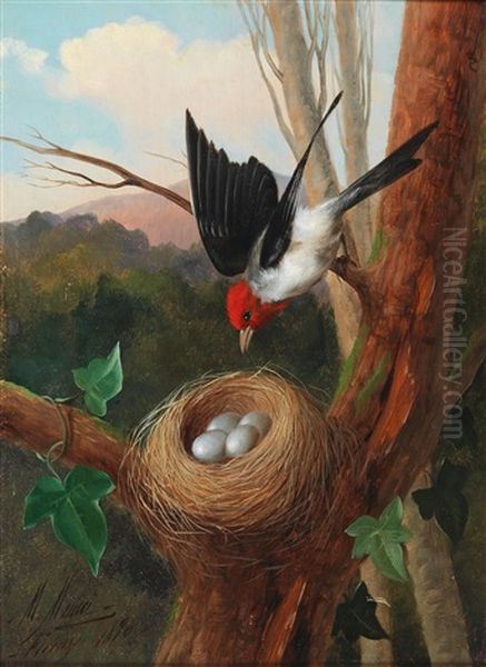 Bird By Its Nest - view 1