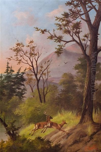 Ciervos - view 1