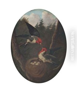 Songbirds At Their Nest In The Canopy by Michelangelo Meucci