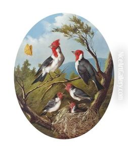 Songbirds Songbirds