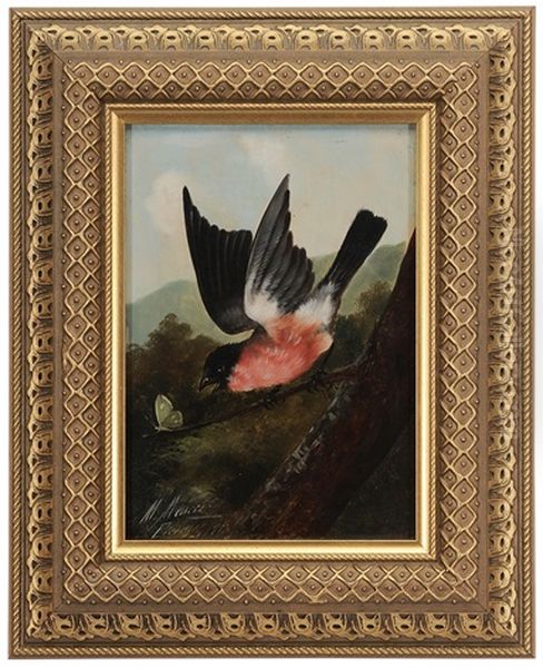 Bird With Butterfly - view 1