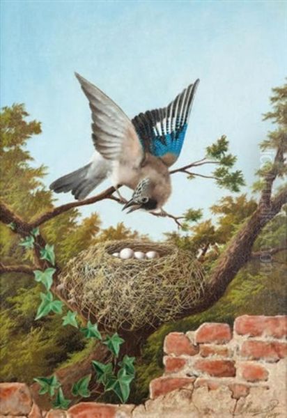 Oiseau Et Nid - view 1