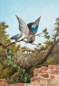 Oiseau Et Nid by Michelangelo Meucci