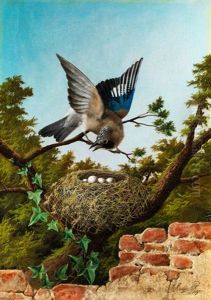 Eichelhaher Auf Einem Zweig Uber Seinem Nest by Michelangelo Meucci