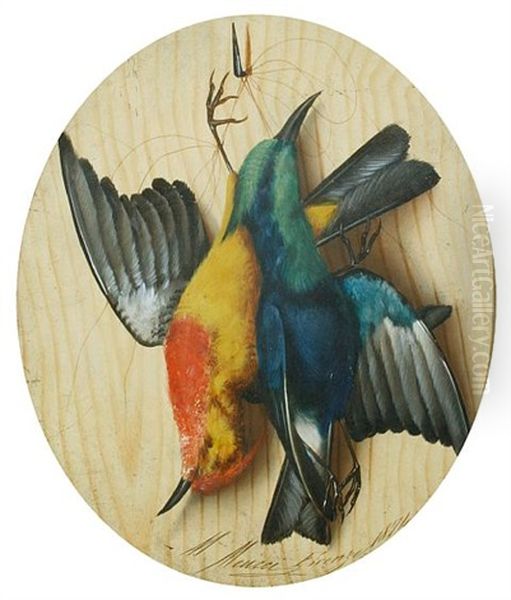 Dead Songbirds (+ Another; Pair) - view 1