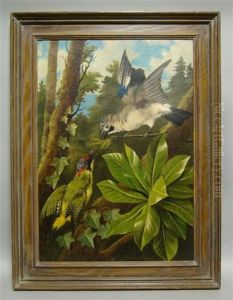 European Jay And A Green Woodpecker