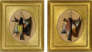 A Pair Of Still Lifes Of Songbirds by Michelangelo Meucci