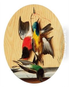 Singvogel Singvogel