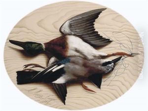 A Mallard And A Jay A Mallard And A Jay