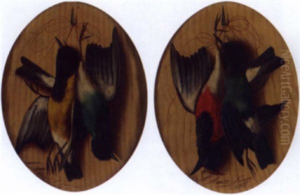 Still Life Of A Songbird - view 1