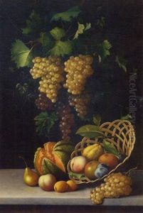 A Cornucopia Of Fruit by Michelangelo Meucci