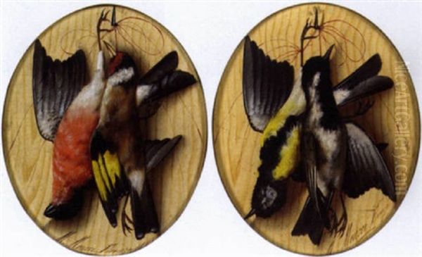 Vogelstilleben - view 1