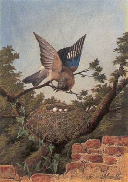 Guarding The Nest - view 1