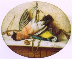 Nature Morte Nature Morte