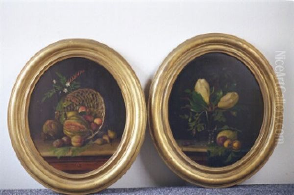 Still Life - view 1
