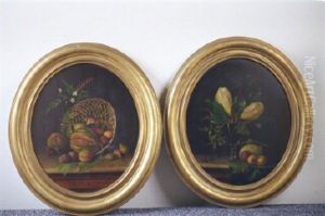 Still Life by Michelangelo Meucci