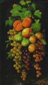 Still Life Of Hanging Fruit Still Life Of Hanging Fruit
