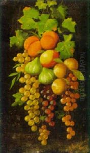 Still Life Of Hanging Fruit Still Life Of Hanging Fruit