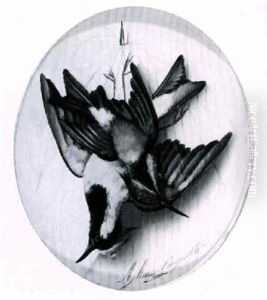 Nature Morte, Song Birds