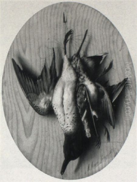 Stilleben Mit Toten Vogeln - view 1