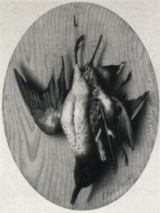 Stilleben Mit Toten Vogeln by Michelangelo Meucci