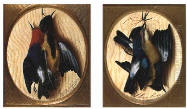 Stilleben Mit Toten Vogeln - view 1