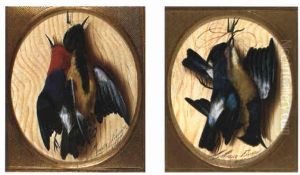 Stilleben Mit Toten Vogeln by Michelangelo Meucci