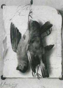 A Trompe L'oeil