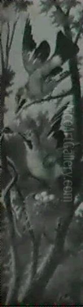 Eichelhaher - view 1