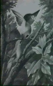 Two Birds Two Birds