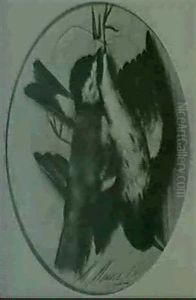 Vogelstilleben Vogelstilleben