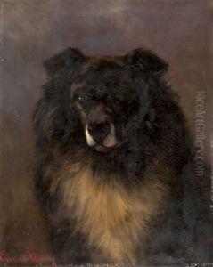 Portrat Eines Border Collie by Edmond Van Der Meulen