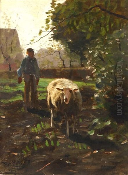 Sheep In Dappled Light - view 1