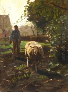 Sheep In Dappled Light