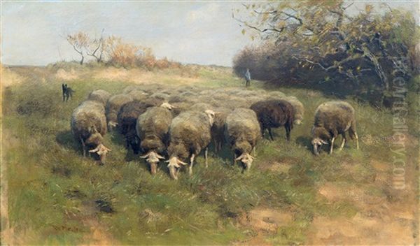 Shepherd And His Flock - view 1