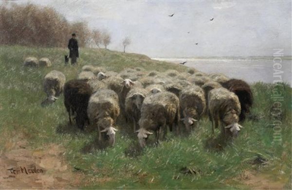 Shepherd With Flock - view 1